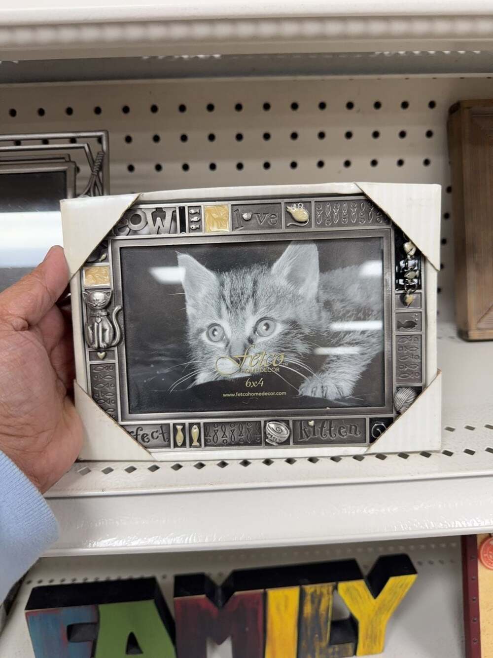 Fetco Home Decor 6x4 Cat Themed Metal Picture Frame